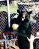 blackbear15