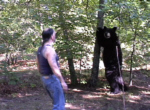 bear_encounter