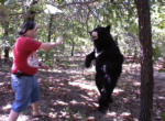 pepperspray_320x240.mov